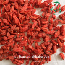 2016 ningxia baies de goji chinois de haute qualité